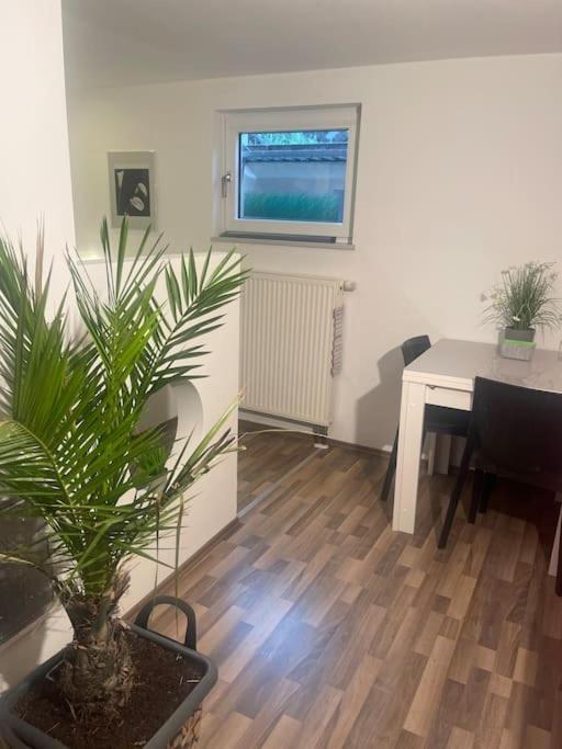 Gemuetliches Einliegerapartment, 50 Qm 트립스타트 외부 사진
